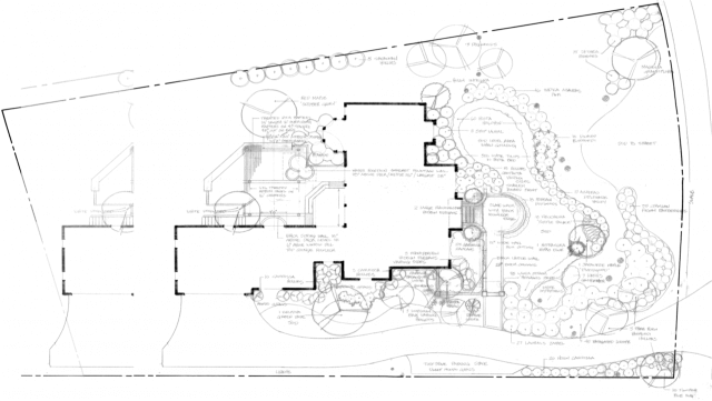 Landscape Plans & Sketches | Raleigh & Cary Landscape Design